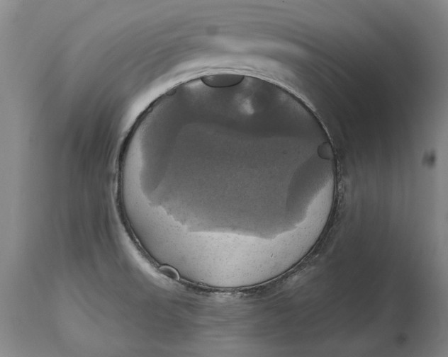 X0000115091523200911171205