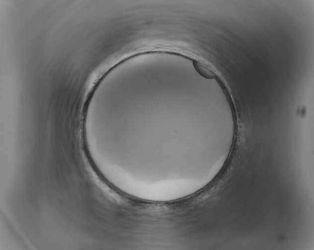 X0000115091525200911171205