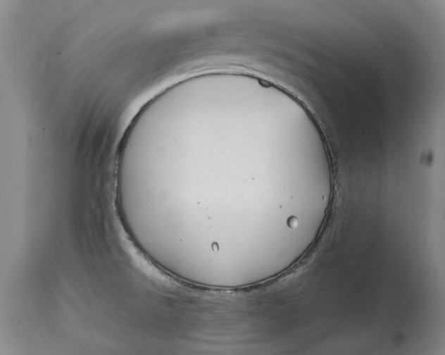 X0000115091526200911171205