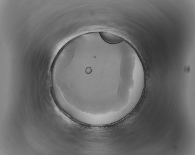 X0000115091527200911171205