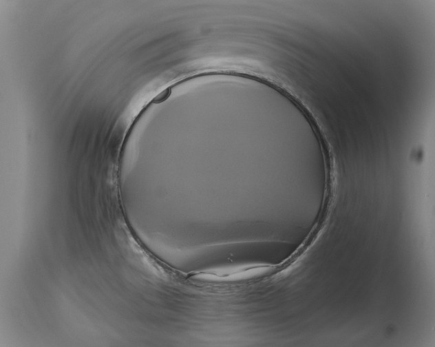 X0000115091529200911171205