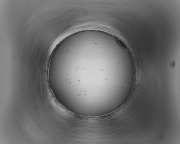 X0000115091530200911171205