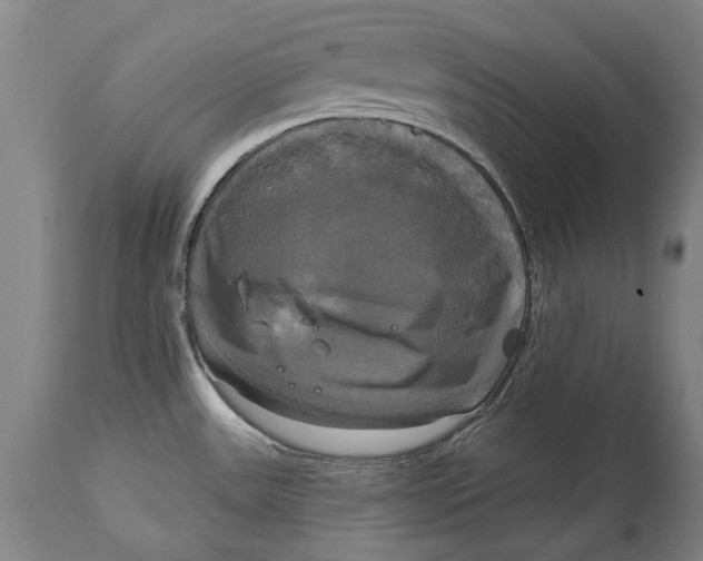 X0000115091531200911171205