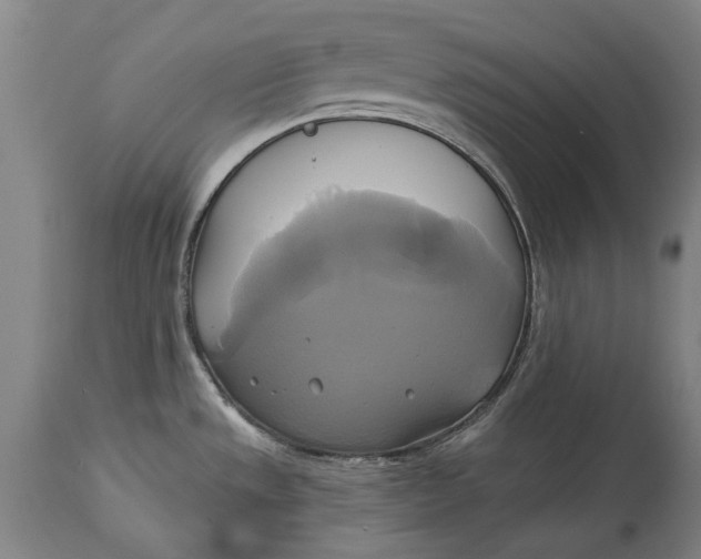 X0000115091533200911171205