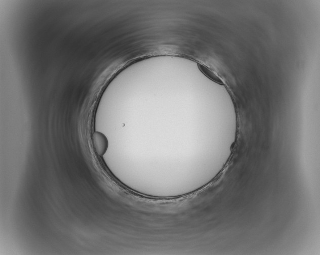 X0000115090001200911241223