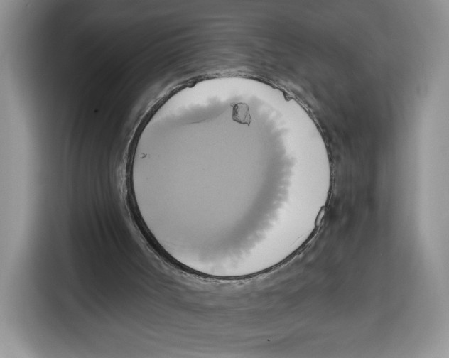 X0000115090002200911241223