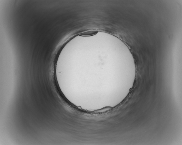 X0000115090005200911241222