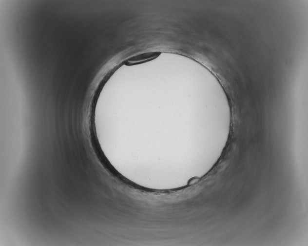 X0000115090007200911241222