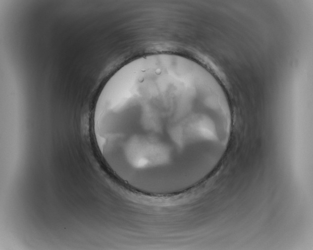 X0000115090010200911241222