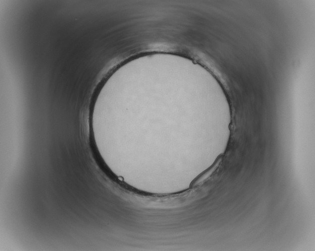 X0000115090011200911241222