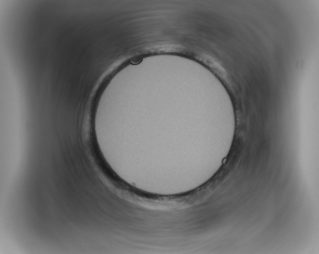 X0000115090012200911241222