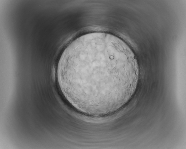 X0000115090014200911241222