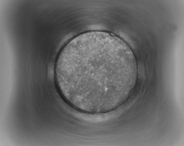 X0000115090015200911241222