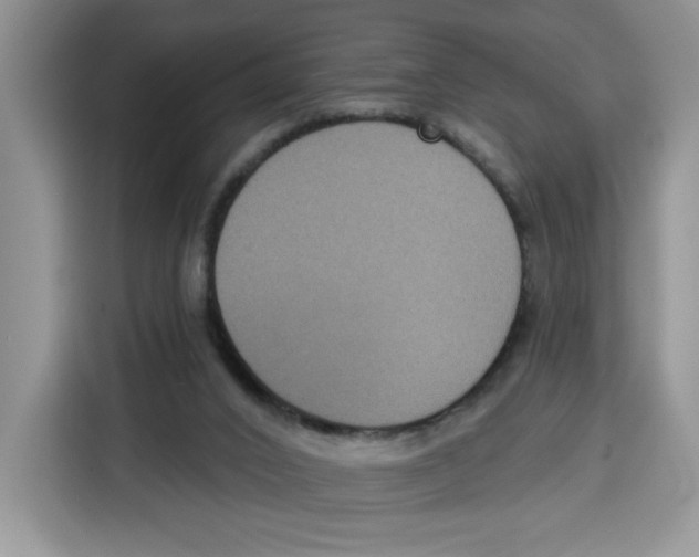X0000115090016200911241222