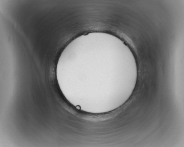 X0000115090017200911241222