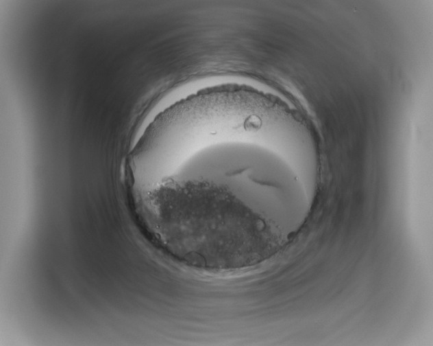 X0000115090019200911241222