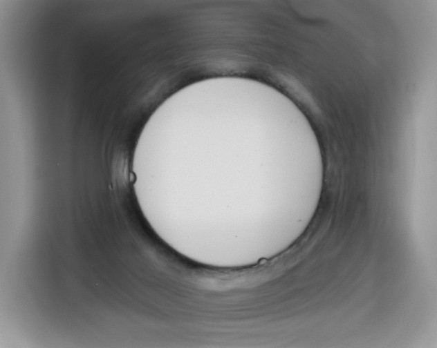X0000115090021200911241222
