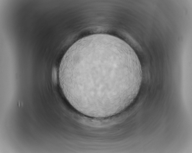 X0000115090022200911241222