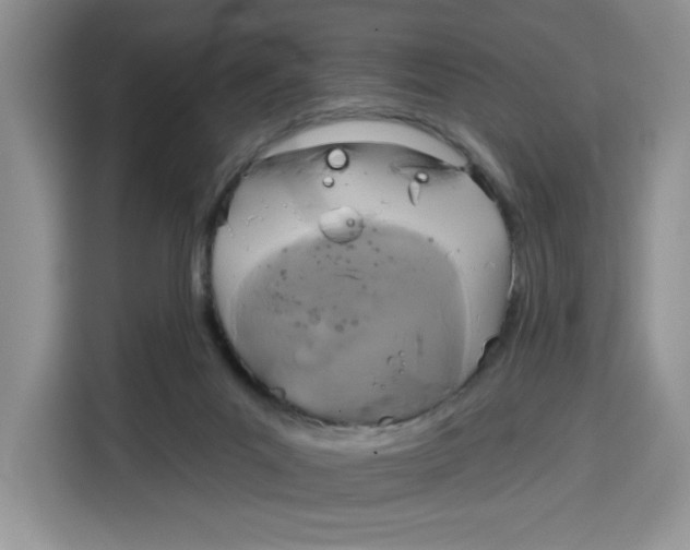 X0000115090023200911241222