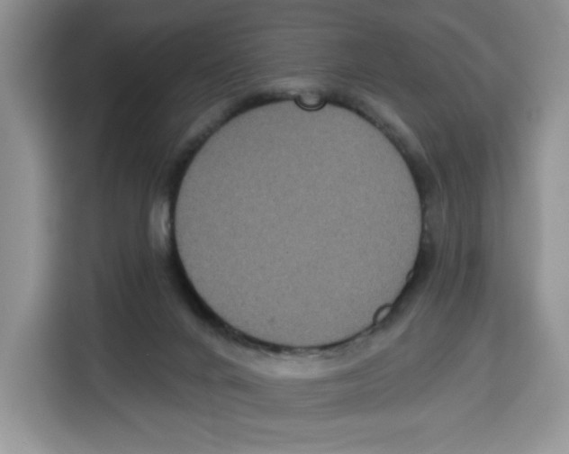 X0000115090024200911241222
