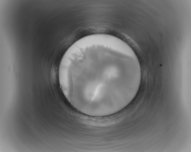 X0000115090026200911241222