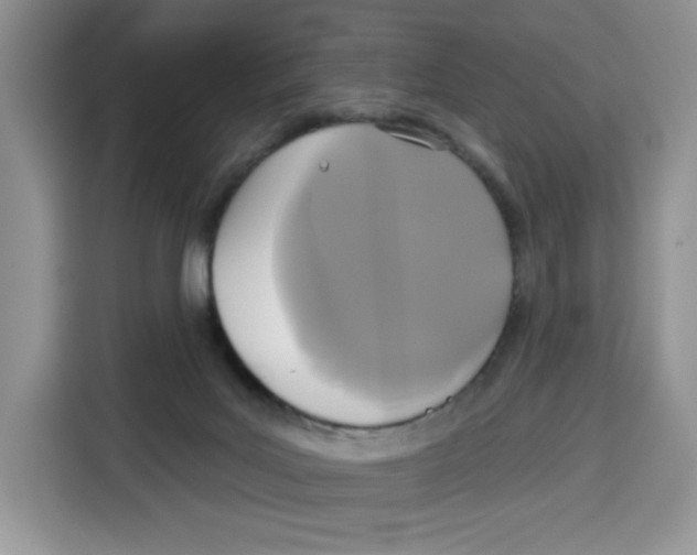 X0000115090027200911241222