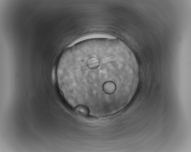 X0000115090028200911241222