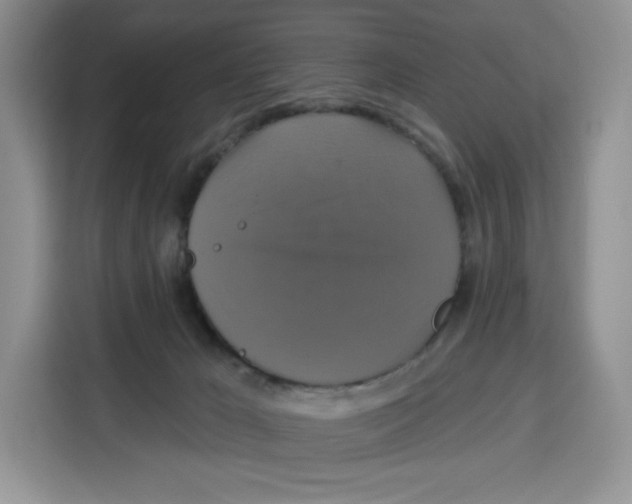 X0000115090029200911241222