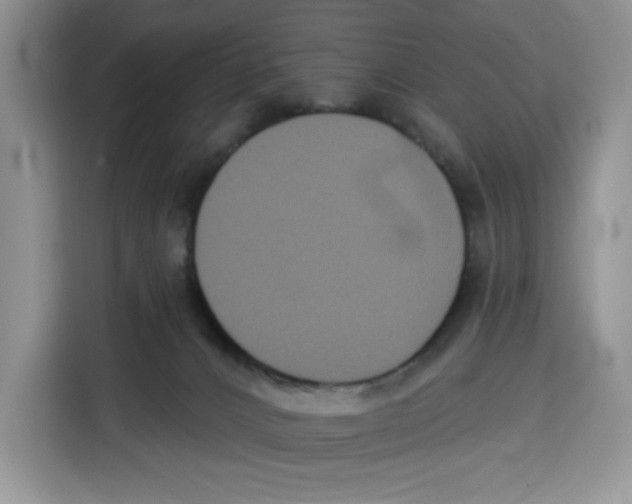 X0000115090032200911241222