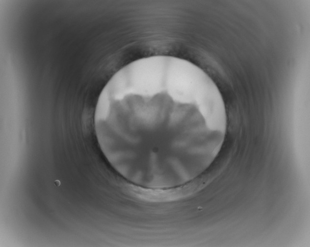 X0000115090034200911241222