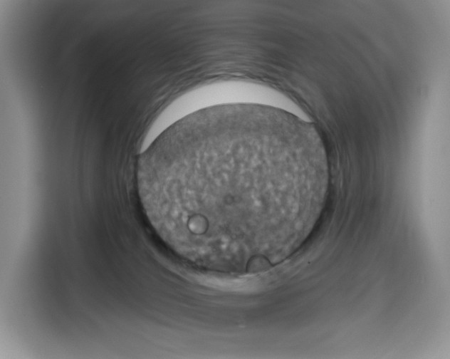 X0000115090036200911241222