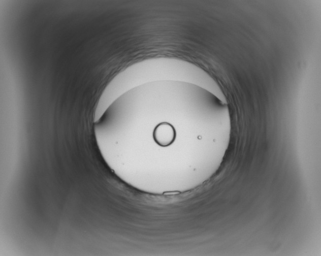 X0000115090037200911241222