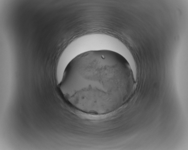 X0000115090039200911241222