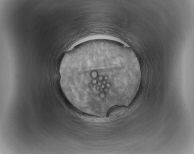 X0000115090040200911241222