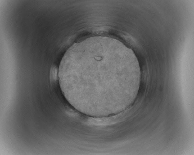 X0000115090041200911241222