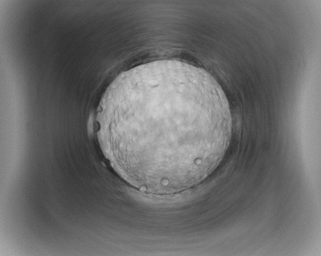 X0000115090042200911241222