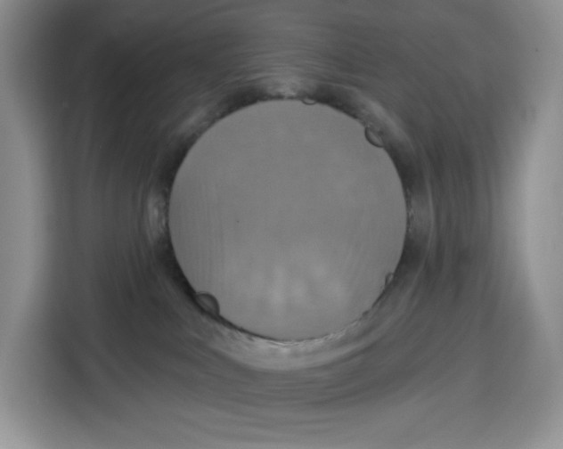 X0000115090043200911241222
