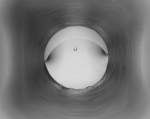 X0000115090045200911241222