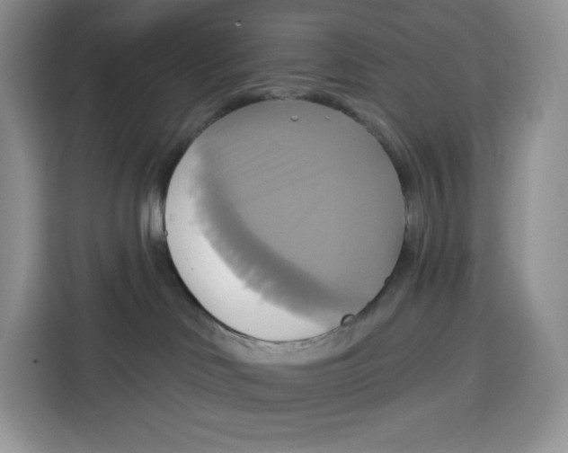 X0000115090046200911241222