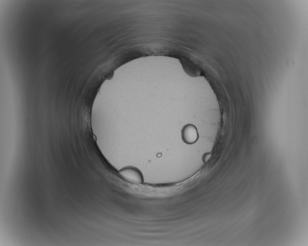 X0000115090048200911241222