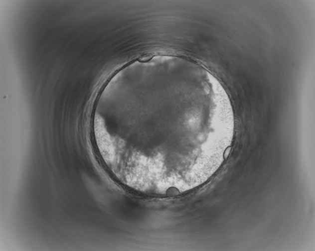 X0000115090049200911241221