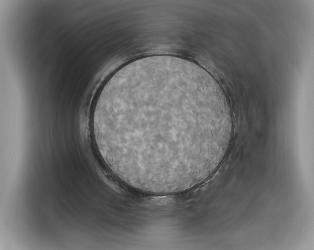 X0000115090050200911241221