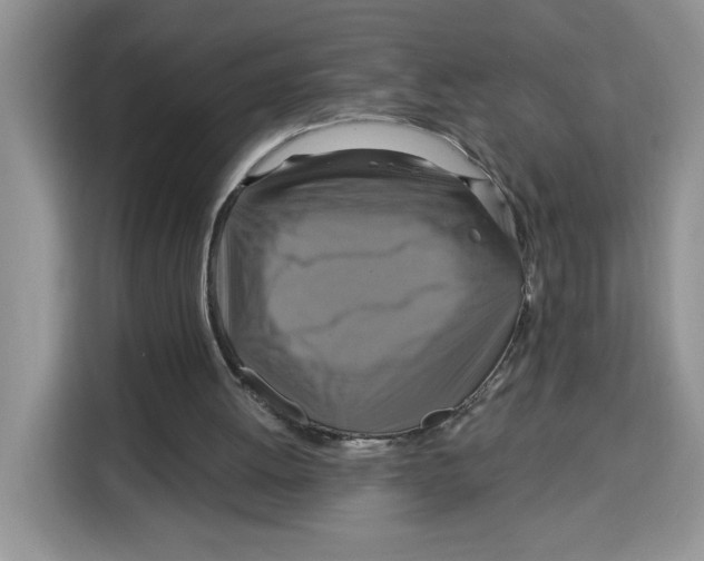X0000115090052200911241221