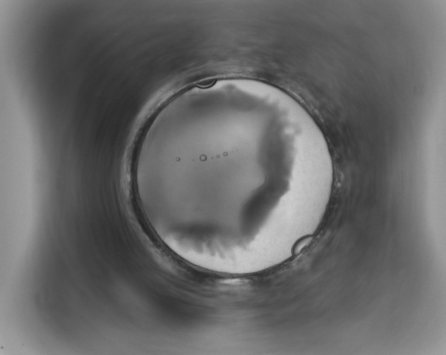 X0000115090053200911241221