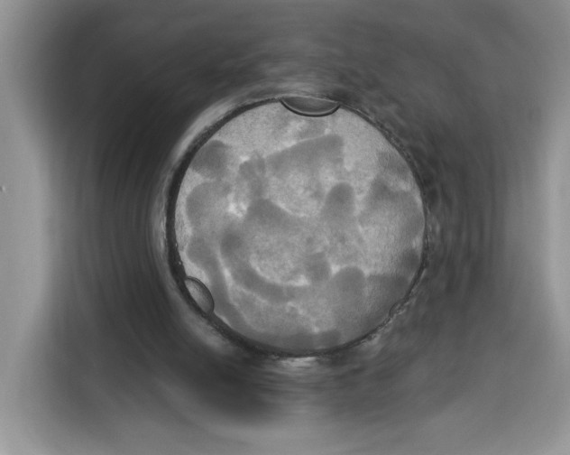 X0000115090054200911241221