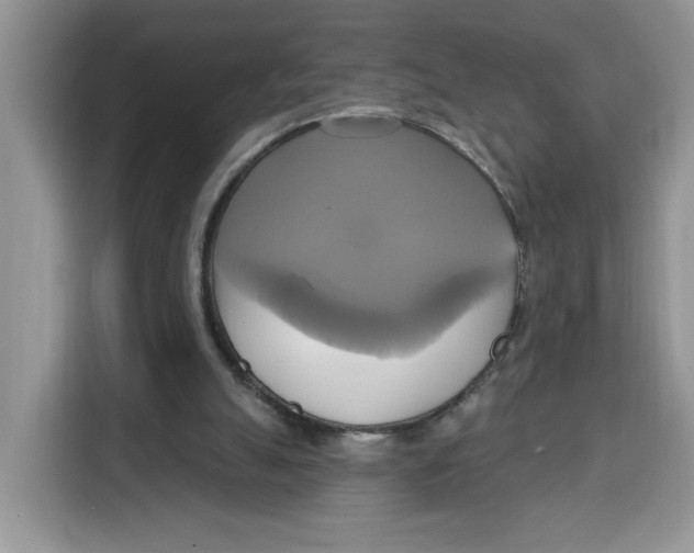 X0000115090055200911241221