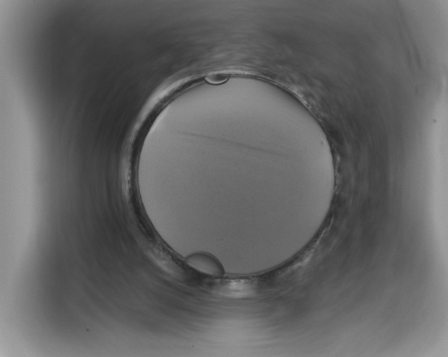 X0000115090056200911241221