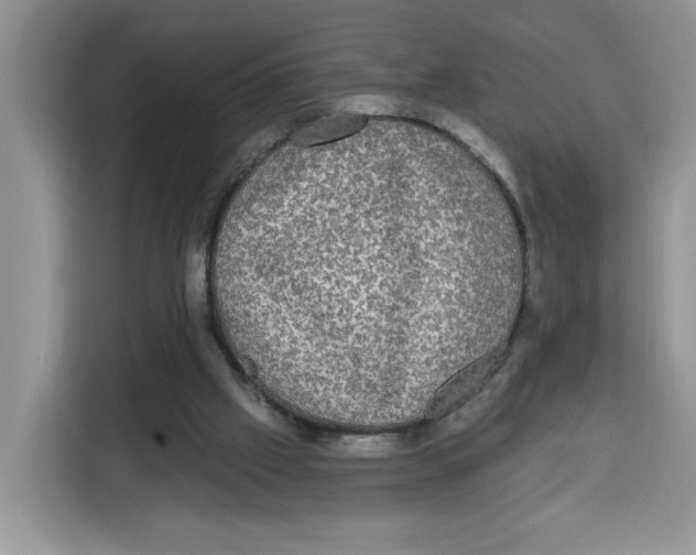X0000115090057200911241221