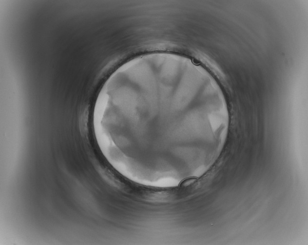 X0000115090058200911241221