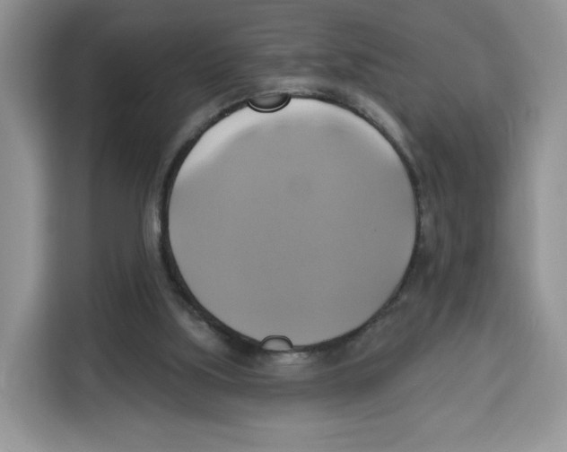 X0000115090059200911241221